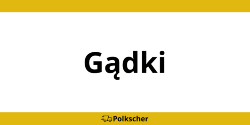 Kontakt Dachser Gądki